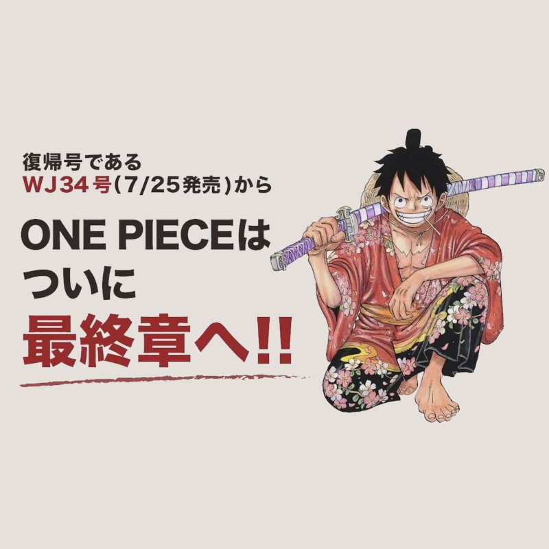 fine one piece